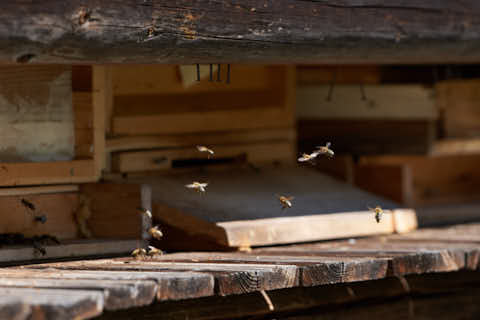 Gemeinde Töging Landkreis Altötting Engfurt Bienenhaus an der Klausenkirche (Dirschl Johann) Deutschland AÖ